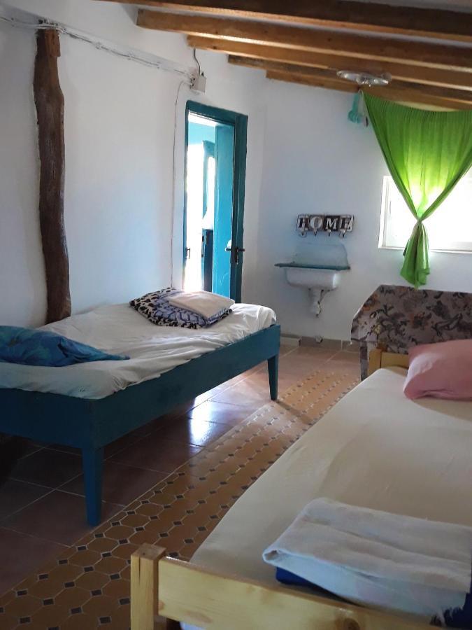 Danube Delta Hostel Homestay & Camping Sulina Bagian luar foto