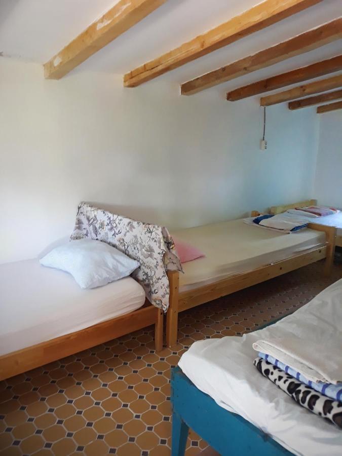 Danube Delta Hostel Homestay & Camping Sulina Bagian luar foto