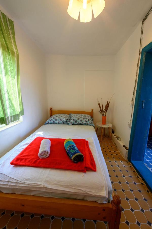 Danube Delta Hostel Homestay & Camping Sulina Bagian luar foto